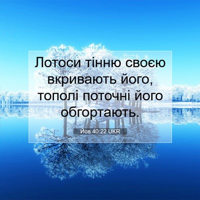 Picture 07 - Йов 40:22 UKR - Лотоси тінню своєю - Bible Verse Picture