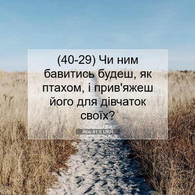 Picture 07 - Йов 41:5 UKR - (40-29) Чи ним бавитись будеш, - Bible Verse Picture