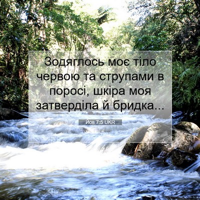Picture 07 - Йов 7:5 UKR - Зодяглось моє тіло червою - Bible Verse Picture