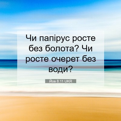 Picture 07 - Йов 8:11 UKR - Чи папірус росте без - Bible Verse Picture