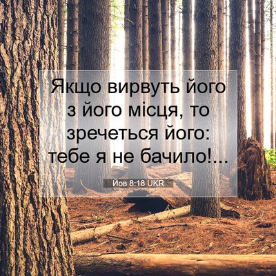 Picture 07 - Йов 8:18 UKR - Якщо вирвуть його з його - Bible Verse Picture