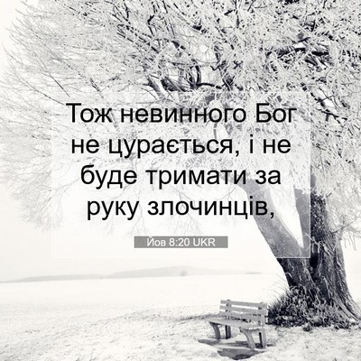 Picture 07 - Йов 8:20 UKR - Тож невинного Бог не - Bible Verse Picture