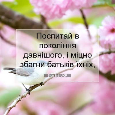 Picture 07 - Йов 8:8 UKR - Поспитай в покоління - Bible Verse Picture