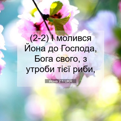 Picture 07 - Йона 2:1 UKR - (2-2) І молився Йона до - Bible Verse Picture