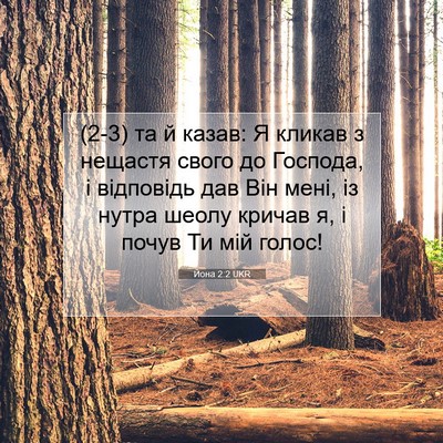 Picture 07 - Йона 2:2 UKR - (2-3) та й казав: Я кликав з - Bible Verse Picture