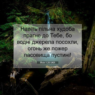 Picture 07 - Йоїл 1:20 UKR - Навіть пільна худоба - Bible Verse Picture