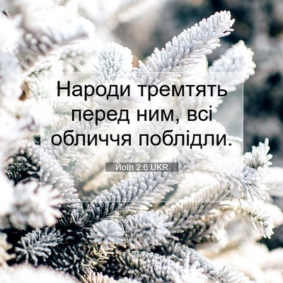 Picture 07 - Йоїл 2:6 UKR - Народи тремтять перед ним, - Bible Verse Picture