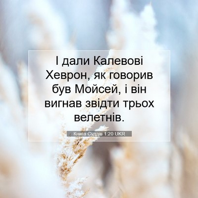 Picture 07 - Книга Суддів 1:20 UKR - І дали Калевові Хеврон, як - Bible Verse Picture