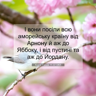 Picture 07 - Книга Суддів 11:22 UKR - І вони посіли всю - Bible Verse Picture