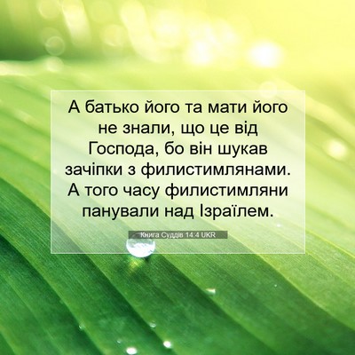 Picture 07 - Книга Суддів 14:4 UKR - А батько його та мати його - Bible Verse Picture
