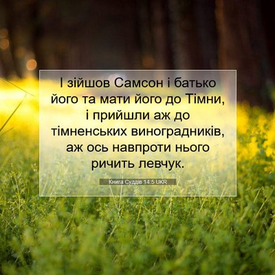 Picture 07 - Книга Суддів 14:5 UKR - І зійшов Самсон і батько - Bible Verse Picture