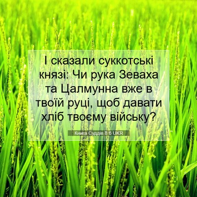 Picture 07 - Книга Суддів 8:6 UKR - І сказали суккотські - Bible Verse Picture