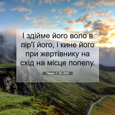 Picture 07 - Левит 1:16 UKR - І здійме його воло в пір'ї - Bible Verse Picture