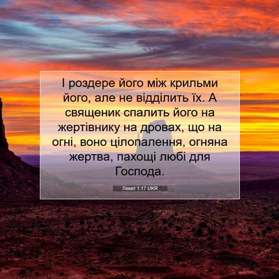 Picture 07 - Левит 1:17 UKR - І роздере його між крильми - Bible Verse Picture