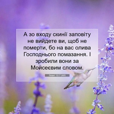 Picture 07 - Левит 10:7 UKR - А зо входу скинії заповіту - Bible Verse Picture