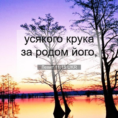 Picture 07 - Левит 11:15 UKR - усякого крука за родом - Bible Verse Picture