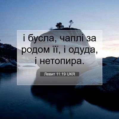 Picture 07 - Левит 11:19 UKR - і бусла, чаплі за родом її, - Bible Verse Picture