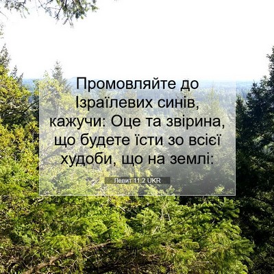 Picture 07 - Левит 11:2 UKR - Промовляйте до Ізраїлевих - Bible Verse Picture