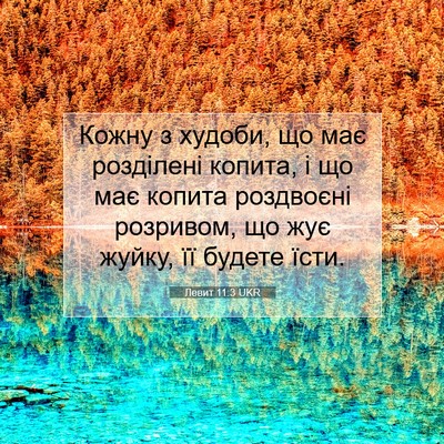 Picture 07 - Левит 11:3 UKR - Кожну з худоби, що має - Bible Verse Picture