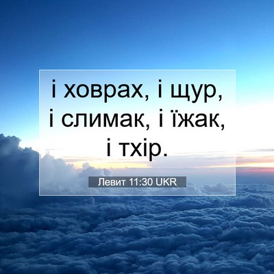 Picture 07 - Левит 11:30 UKR - і ховрах, і щур, і слимак, і - Bible Verse Picture
