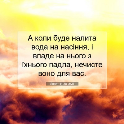 Picture 07 - Левит 11:38 UKR - А коли буде налита вода на - Bible Verse Picture