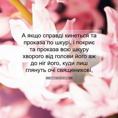 Picture 07 - Левит 13:12 UKR - А якщо справді кинеться та - Bible Verse Picture