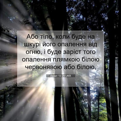 Picture 07 - Левит 13:24 UKR - Або тіло, коли буде на - Bible Verse Picture