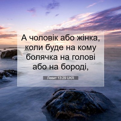 Picture 07 - Левит 13:29 UKR - А чоловік або жінка, коли - Bible Verse Picture