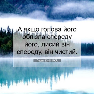 Picture 07 - Левит 13:41 UKR - А якщо голова його облізла - Bible Verse Picture