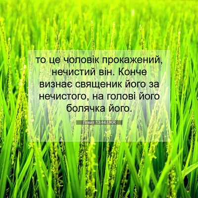 Picture 07 - Левит 13:44 UKR - то це чоловік прокажений, - Bible Verse Picture