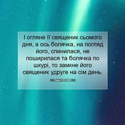 Picture 07 - Левит 13:5 UKR - І огляне її священик - Bible Verse Picture