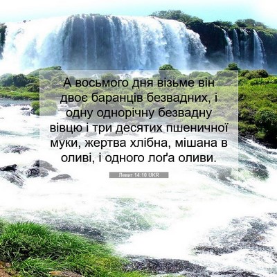 Picture 07 - Левит 14:10 UKR - А восьмого дня візьме він - Bible Verse Picture