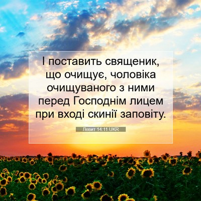 Picture 07 - Левит 14:11 UKR - І поставить священик, що - Bible Verse Picture