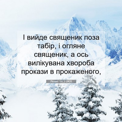 Picture 07 - Левит 14:3 UKR - І вийде священик поза - Bible Verse Picture