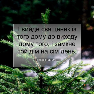 Picture 07 - Левит 14:38 UKR - І вийде священик із того - Bible Verse Picture