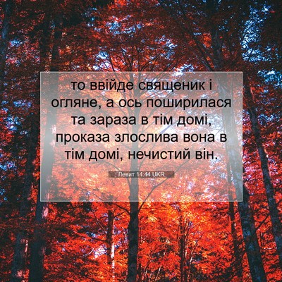 Picture 07 - Левит 14:44 UKR - то ввійде священик і - Bible Verse Picture