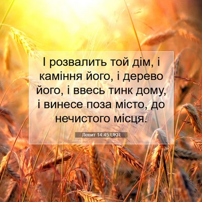 Picture 07 - Левит 14:45 UKR - І розвалить той дім, і - Bible Verse Picture