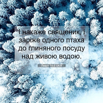 Picture 07 - Левит 14:5 UKR - І накаже священик, і заріже - Bible Verse Picture