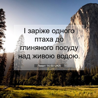 Picture 07 - Левит 14:50 UKR - І заріже одного птаха до - Bible Verse Picture