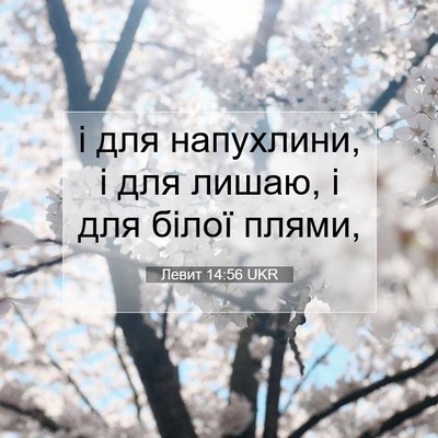 Picture 07 - Левит 14:56 UKR - і для напухлини, і для - Bible Verse Picture