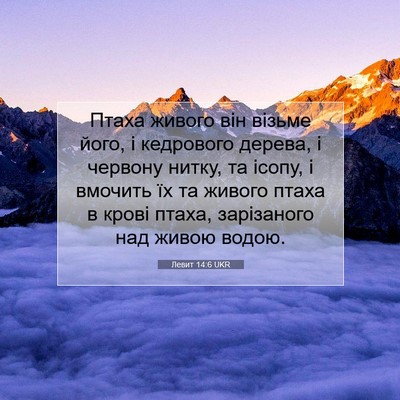 Picture 07 - Левит 14:6 UKR - Птаха живого він візьме - Bible Verse Picture