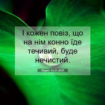 Picture 07 - Левит 15:9 UKR - І кожен повіз, що на нім - Bible Verse Picture