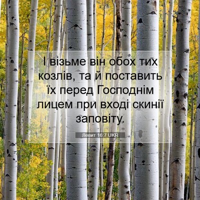 Picture 07 - Левит 16:7 UKR - І візьме він обох тих - Bible Verse Picture