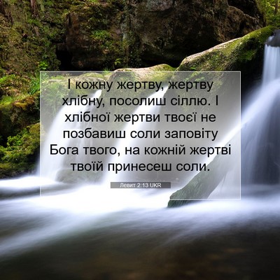 Picture 07 - Левит 2:13 UKR - І кожну жертву, жертву - Bible Verse Picture