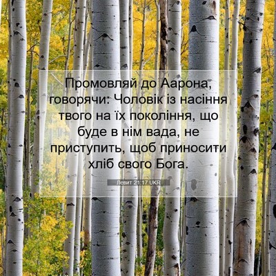 Picture 07 - Левит 21:17 UKR - Промовляй до Аарона, - Bible Verse Picture