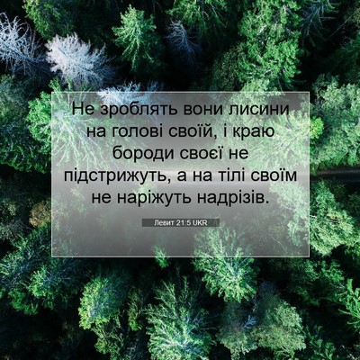 Picture 07 - Левит 21:5 UKR - Не зроблять вони лисини на - Bible Verse Picture