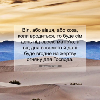 Picture 07 - Левит 22:27 UKR - Віл, або вівця, або коза, - Bible Verse Picture