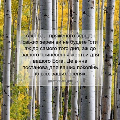Picture 07 - Левит 23:14 UKR - А хліба, і пряженого зерна, - Bible Verse Picture