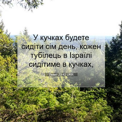 Picture 07 - Левит 23:42 UKR - У кучках будете сидіти сім - Bible Verse Picture