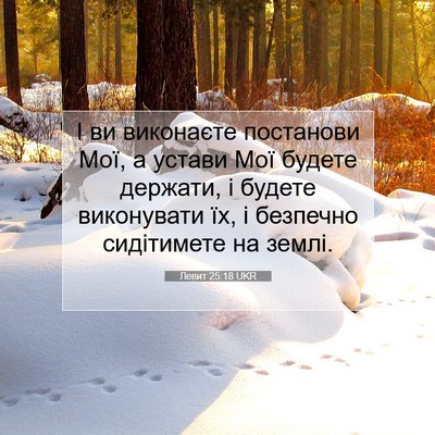 Picture 07 - Левит 25:18 UKR - І ви виконаєте постанови - Bible Verse Picture